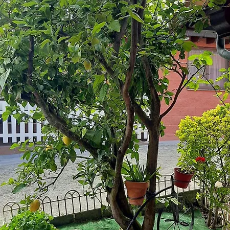 Casa Mari Carmen Apartament