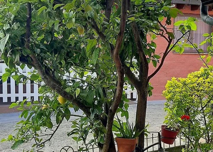 Casa Mari Carmen Апартаменты